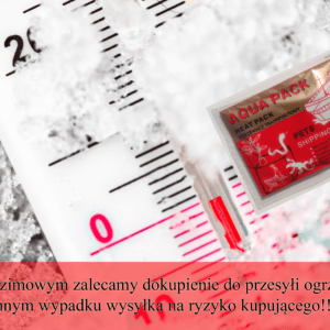 Heat Pack wysyłka zimowa